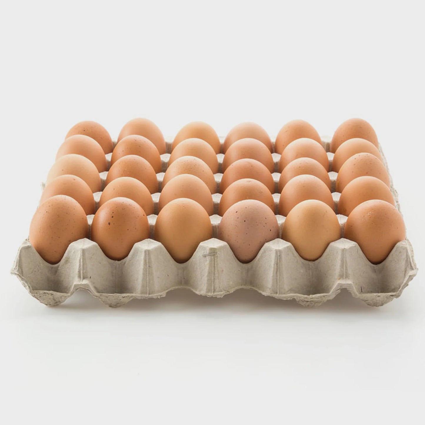 Lake Modewarre - Eggs Pullets Loose Tray