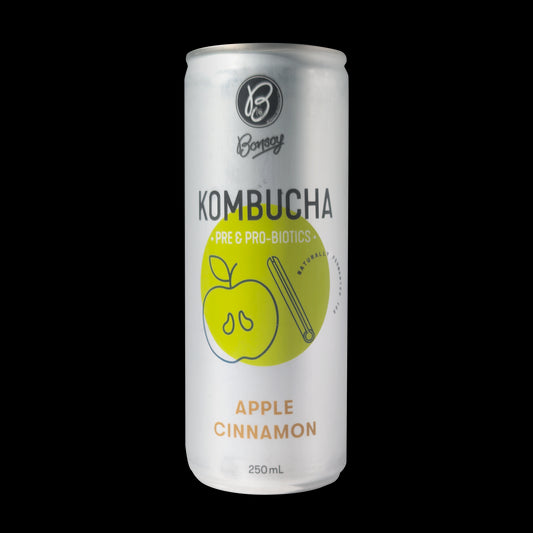 Bonsoy - Apple Cinnamon Kombucha 250m