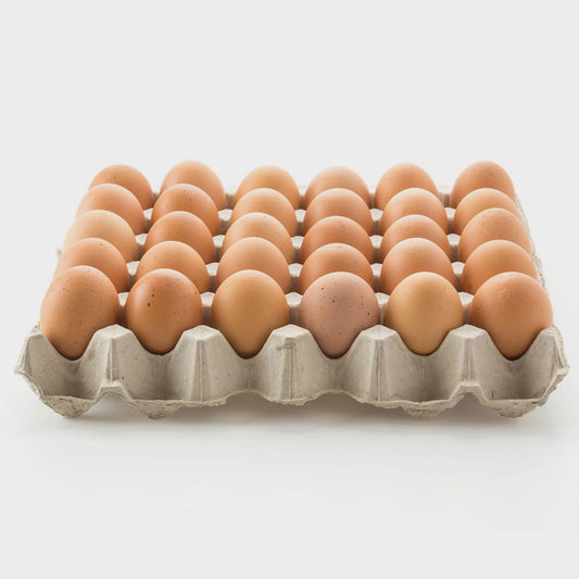 Lake Modewarre - Eggs Pullets Loose Tray
