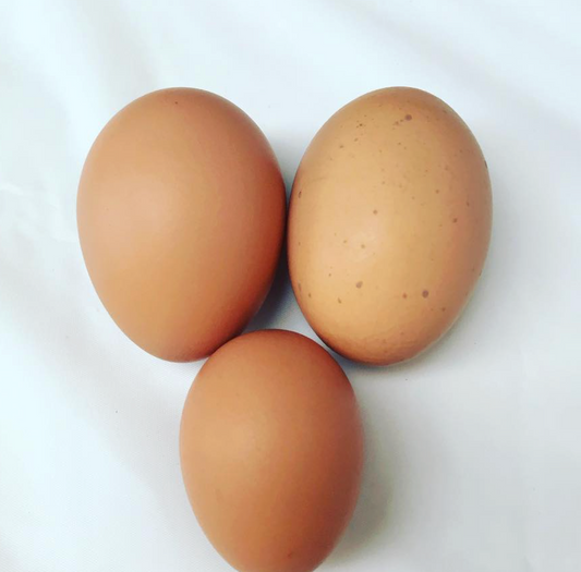 Lake Modewarre - Eggs Pullets Loose Dozen