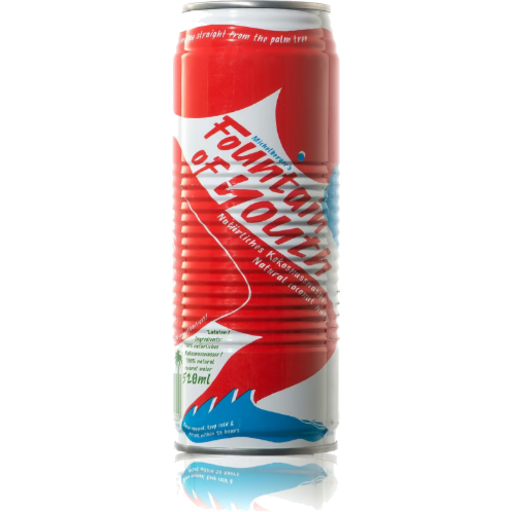 Fountain Of Youth - Coconut Water 520ml