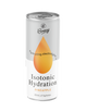 Bonsoy - Isotonic Pineapple Carton of 12 250ml