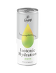 Bonsoy - Isotonic Lemon 250ml