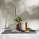 Wildfolk - Peppermint and Lemongrass Glass Soy Candle